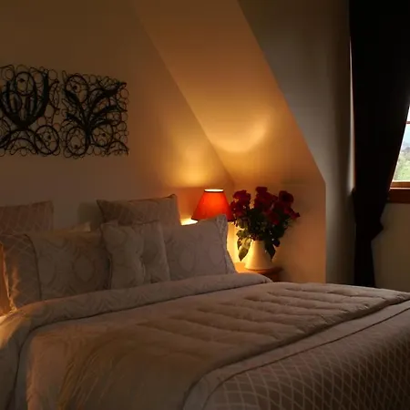 Fyffe Country Lodge Kaikoura Room photo
